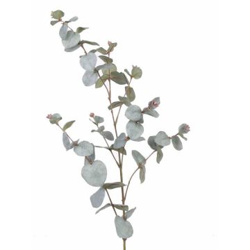 Branche d'eucalyptus artificielle ILMO, gris-vert, 85cm