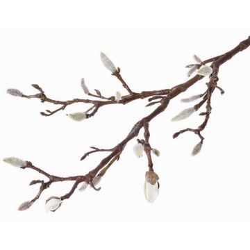 Branche de magnolia artificielle ASANI, blanc, 70cm, Ø1-2cm Branche de magnolia artificielle ASANI, blanc, 70cm, Ø1-2cm