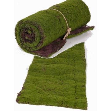 Rouleau / Tapis de mousse artificiel CUNO, vert-marron, 97x29cm Rouleau / Tapis de mousse artificiel CUNO, vert-marron, 97x29cm