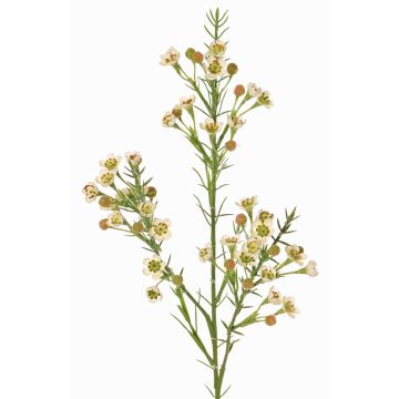 Branche décorative de fleur de cire FRINDALS, crème, 65cm, Ø1,5-2cm Branche décorative de fleur de cire FRINDALS, crème, 65cm, Ø1,5-2cm