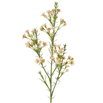 Branche décorative de fleur de cire FRINDALS, rose clair-blanc, 65 cm, Ø 1,5-2 cm Branche décorative de fleur de cire FRINDALS, rose clair-blanc, 65 cm, Ø 1,5-2 cm