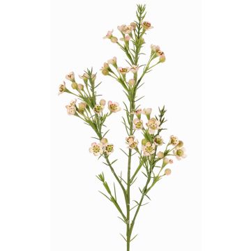 Branche décorative de fleur de cire FRINDALS, rose clair-blanc, 65cm, Ø1,5-2cm Branche décorative de fleur de cire FRINDALS, rose clair-blanc, 65cm, Ø1,5-2cm