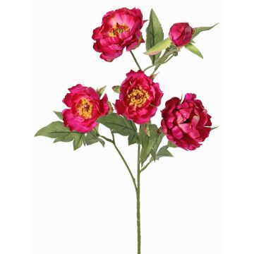 Branche artificielle de pivoine LARDUAN, collection Eco, fuchsia, 60cm, Ø7cm Branche artificielle de pivoine LARDUAN, collection Eco, fuchsia, 60cm, Ø7cm