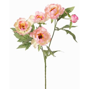 Branche artificielle de pivoine LARDUAN, collection Eco, rose-blanc, 60cm, Ø7cm Branche artificielle de pivoine LARDUAN, collection Eco, rose-blanc, 60cm, Ø7cm