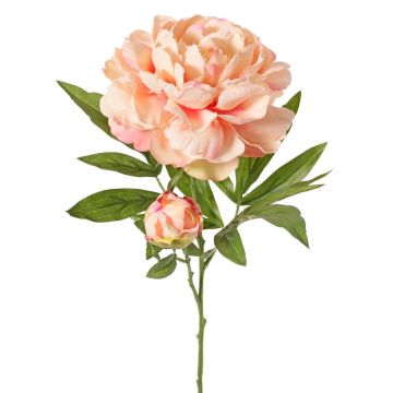 Pivoine artificielle WARDUAN, collection Eco, saumon, 65 cm, Ø 15 cm Pivoine artificielle WARDUAN, collection Eco, saumon, 65 cm, Ø 15 cm