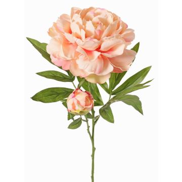 Pivoine artificielle WARDUAN, collection Eco, saumon, 65cm, Ø15cm Pivoine artificielle WARDUAN, collection Eco, saumon, 65cm, Ø15cm