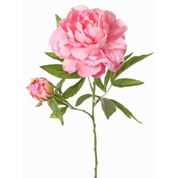Pivoine artificielle WARDUAN, collection Eco, rose, 65cm, Ø15cm Pivoine artificielle WARDUAN, collection Eco, rose, 65cm, Ø15cm