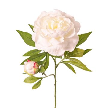 Pivoine artificielle WARDUAN, collection Eco, blanche, 65 cm, Ø 15 cm Pivoine artificielle WARDUAN, collection Eco, blanche, 65 cm, Ø 15 cm