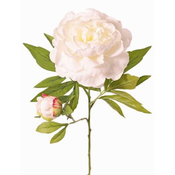 Pivoine artificielle WARDUAN, collection Eco, blanche, 65cm, Ø15cm Pivoine artificielle WARDUAN, collection Eco, blanche, 65cm, Ø15cm