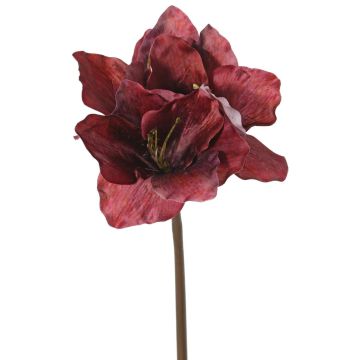 Amaryllis artificielle SARDUAN, rouge bordeaux, 65 cm, Ø 10 cm