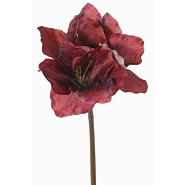 Amaryllis artificielle SARDUAN, rouge bourgogne, 65cm, Ø10cm Amaryllis artificielle SARDUAN, rouge bourgogne, 65cm, Ø10cm