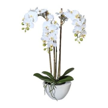Orchidée Phalaenopsis artificielle LARKEN dans un plat en céramique, racines, blanche, 50 cm Orchidée Phalaenopsis artificielle LARKEN dans un plat en céramique, racines, blanche, 50 cm