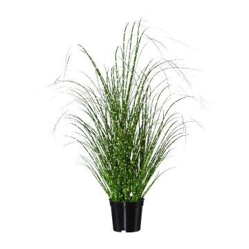 Herbe artificielle Roseau de Chine zébré FERVA, vert-jaune, 60cm