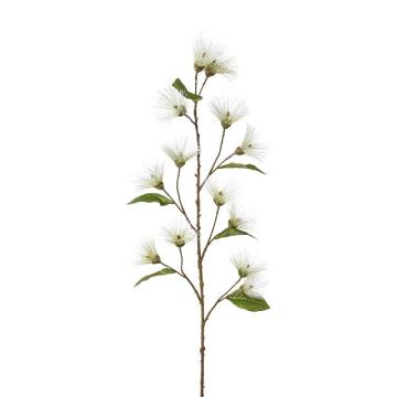 Branche artificielle Callistemon GRAMLO, fleurs, blanc, 145cm