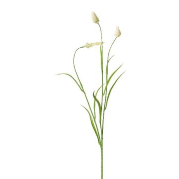 Branche artificielle Trèfle FEVOR avec des fleurs, crème, 70cm Branche artificielle Trèfle FEVOR avec des fleurs, crème, 70cm