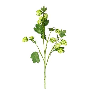 Branche artificielle de houblon DRIHOL avec fleurs, verte, 75 cm