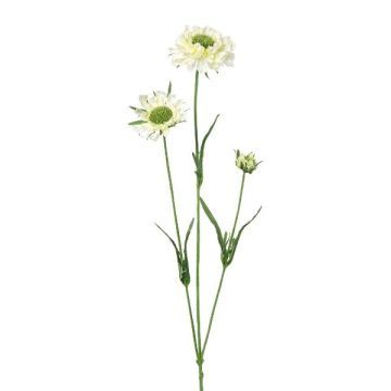 Branche décorative Scabiosa ATLENTO, blanc, 65cm Branche décorative Scabiosa ATLENTO, blanc, 65cm