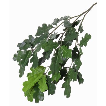 Branche de chêne décorative KALLI, crossdoor, 70cm Branche de chêne décorative KALLI, crossdoor, 70cm