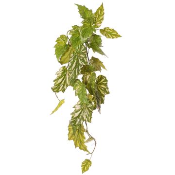 Plante artificielle Bégonia palmata OANFIR, tige, retombante, verte, 90 cm