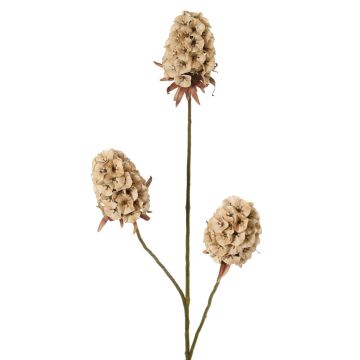 Branche artificielle d'œillet barbu MARDUEN, beige, 75 cm, Ø 5 cm Branche artificielle d'œillet barbu MARDUEN, beige, 75 cm, Ø 5 cm