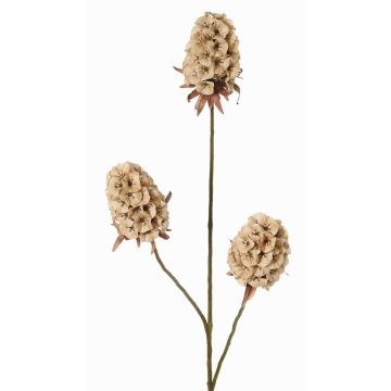 Branche artificielle d'œillet barbu MARDUEN, beige, 75cm, Ø5cm Branche artificielle d'œillet barbu MARDUEN, beige, 75cm, Ø5cm