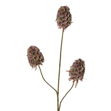 Branche artificielle d'œillet barbu MARDUEN, vert-rose, 75 cm, Ø 5 cm Branche artificielle d'œillet barbu MARDUEN, vert-rose, 75 cm, Ø 5 cm