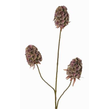 Branche artificielle d'œillet barbu MARDUEN, vert-rose, 75cm, Ø5cm Branche artificielle d'œillet barbu MARDUEN, vert-rose, 75cm, Ø5cm
