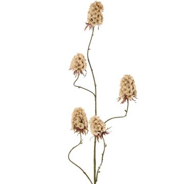 Branche artificielle de clou de girofle MARDUEN, beige, 115 cm, Ø 5 cm Branche artificielle de clou de girofle MARDUEN, beige, 115 cm, Ø 5 cm