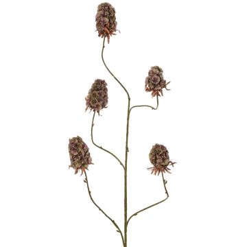 Branche artificielle de giroflée MARDUEN, vert-rose, 115 cm, Ø 5 cm Branche artificielle de giroflée MARDUEN, vert-rose, 115 cm, Ø 5 cm