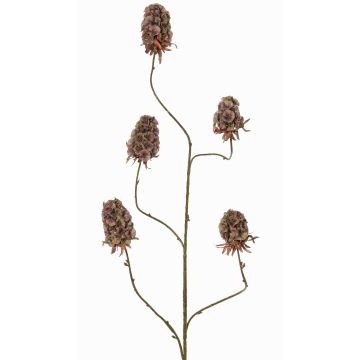 Branche artificielle de giroflée MARDUEN, vert-rose, 115cm, Ø5cm Branche artificielle de giroflée MARDUEN, vert-rose, 115cm, Ø5cm