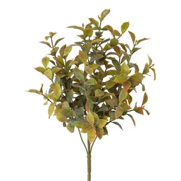 Plante artificielle de fragon petit-houx BUNSA, piquet, vert, 35cm