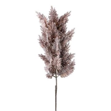 Branche décorative Herbe de la Pampa PANCHE avec panicule, aubergine, 90cm