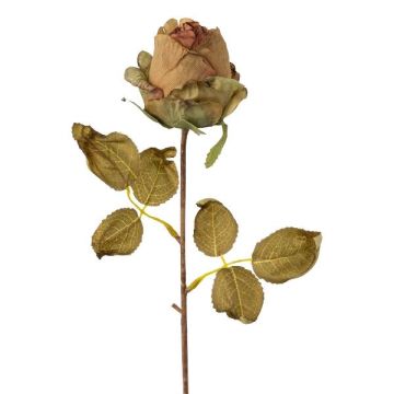 Fleur artificielle Rose GROLK, aspect sec, vert-brun, 45cm, Ø6cm