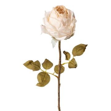Fleur artificielle Rose ZONFER, crème, 60cm