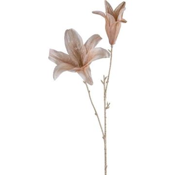 Branche décorative Lys UWENRA, beige-champagne, 65cm