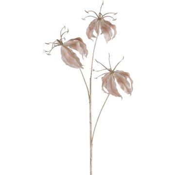Branche décorative Gloriosa BRONVIL, beige, 85cm