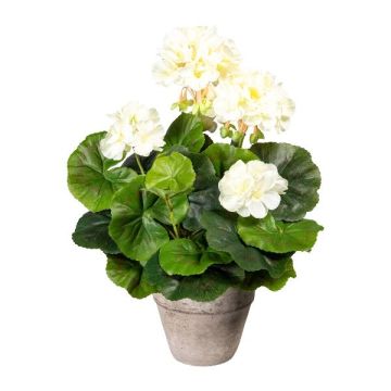Fleur artificielle Géranium KLUMOR en pot en ciment, crème, 35cm Fleur artificielle Géranium KLUMOR en pot en ciment, crème, 35cm