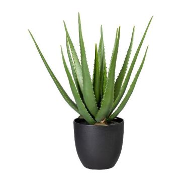 Plante succulente artificielle Aloe Vera KRONFA en pot décoratif, vert, 55cm Plante succulente artificielle Aloe Vera KRONFA en pot décoratif, vert, 55cm
