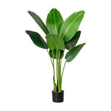 Plante artificielle Strelitzie DREVORA, verte, 120 cm Plante artificielle Strelitzie DREVORA, verte, 120 cm
