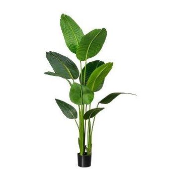 Plante artificielle Strelitzie DREVORA, verte, 160 cm Plante artificielle Strelitzie DREVORA, verte, 160 cm
