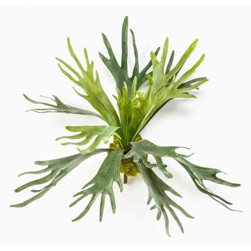 Fougère corne d’élan artificielle CHARLS, piquet, vert, 45cm, Ø80cm