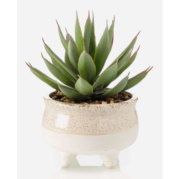 Plante succulente artificielle « dragon-agave » NORSHU dans un pot décoratif, vert-rouge, 20 cm Plante succulente artificielle « dragon-agave » NORSHU dans un pot décoratif, vert-rouge, 20 cm