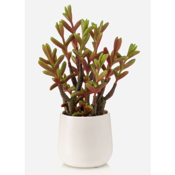Plante succulente artificielle Sedum reflexum NORSHO dans un pot décoratif, vert-rouge, 27 cm