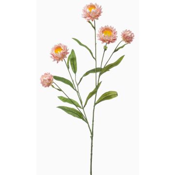 Branche décorative d'immortelle SNAVIK, rose, 70 cm
