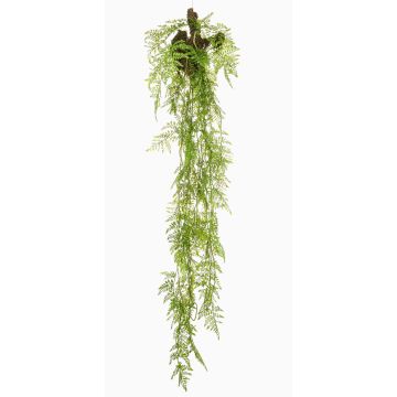 Plante suspendue artificielle Asparagus Plumosus SHALLON sur branche, verte, 150cm Plante suspendue artificielle Asparagus Plumosus SHALLON sur branche, verte, 150cm