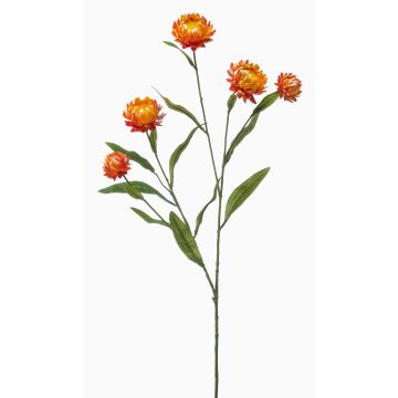 Branche décorative de fleur de paille SNAVIK, orange, 70 cm