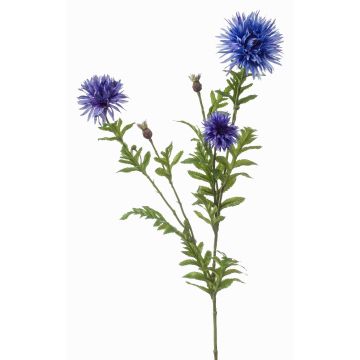 Branche décorative de bleuet BROLIX, bleu clair, 100cm, Ø6-12cm Branche décorative de bleuet BROLIX, bleu clair, 100cm, Ø6-12cm