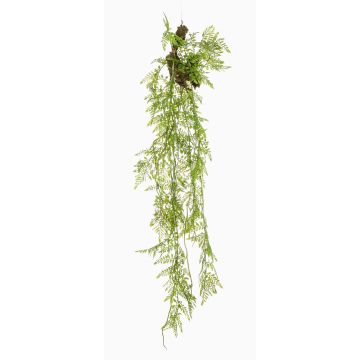 Plante suspendue artificielle Asparagus Plumosus SHALLON sur branche, verte, 110cm Plante suspendue artificielle Asparagus Plumosus SHALLON sur branche, verte, 110cm