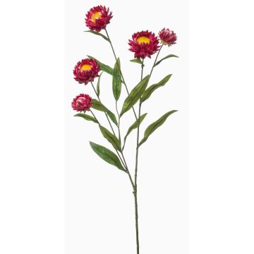 Branche décorative de fleur de paille SNAVIK, rose, 70 cm