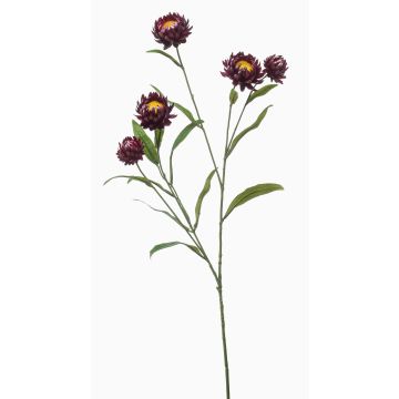 Branche décorative de fleur de paille SNAVIK, violette, 70 cm